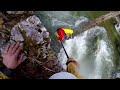 Kayaker stuck to the tree - Rescue - Rettenbach 165cm - 28.3.2022