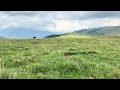 España provincia de Gerona.Viento. Parque Natural de las Cabeceras del Ter y del Freser julio 2024