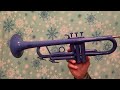 Allora Bb Trumpet. Made of plastic. If your having a “Blue Christmas” may this lighten your spirt.