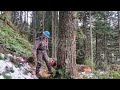 How to SWING a Tree with a DUTCHMAN
