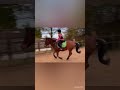 ‘Hall of fame’ equestrian music video