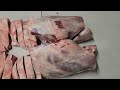 Full Breakdown Of A Lamb ( Basic Step by Step Instructions)