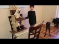How to train a dog to use a Bailey Chair