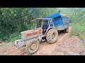 The journey of two tractors carrying trees