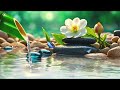 relieve stress with just 5 minutes of relaxing music, meditation, spa, sleep music  🌿🌿🌿