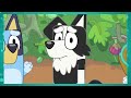 NEW IDEAS for Episodes of Bluey! (SEASON 4)