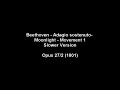 Beethoven   Adagio sostenuto  Moonlight   Movement 1 Slower