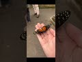 IM BACK!! Butterfly On Hand For 3 Minutes! Stay Tuned For More Vids!