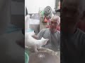 makan sing sambil nyuwapin kucing