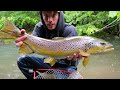 STREAMER FLY FISHING FOR GIANT BROWNS! || Best Day of Trout Fishing