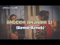 Andekhi Anjaani Si { Slowed + Reverb }- 90’s Hindi Songs | Hrithik Roshan,Kareena Kapoor,RaniMukerji