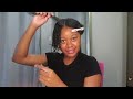MINI TWIST on Natural Hair | No heat! Protective Hairstyle