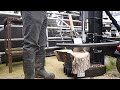 splitting  ash log