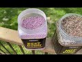 Food Plots for Deer