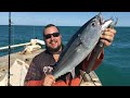 Ep. 026 - Brett from Wiyibi Fishing & Wilderness Lodge