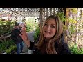 LONG Garden Center Walkthrough + Shopping with Mom! 🌳🌸🌿 // Garden Answer