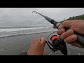 Epic Surf Perch Fishing!!!