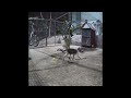 😂🐕 You Laugh You Lose Dogs And Cats ❤️🙀 Funny Animal Moments 2024 #14