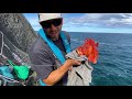 Fishing from a HUGE CLIFF catching strange fish