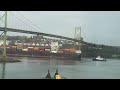 Fast moving cargo ship Halifax Harbour #halifax #containership #novascotia #cargoship #shipspotting