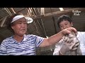 Kitten Dangles From Fishing Net On Mother's Neck | Animal in Crisis EP31