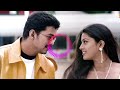 Vaseegara Songs Audio Jukebox 💜💜💜 #Vijay #Sneha #tamillovesongs