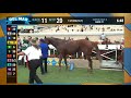 Tripoli wins TVG Pacific Classic (Gr.I) race 10 at Del Mar 8/21/21