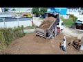 New Project!!! Dozer D20 & Truck 5T Pushing soil to remove two pond