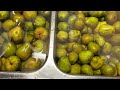 Canning Pears In Appalachia v227