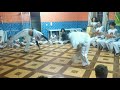 Roda De Capoeira No Prof Gilmario   #capoeira #arte #cultura