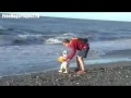 Dads Are Awesome - Dad Saves The Day Compilation