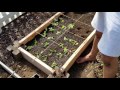 How to Build Cheap, DIY Raised Garden Beds In Under 30 Minutes