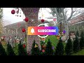 Santa Claus' house in Melegnano 2023 - La Casa di Babbo Natale a Melegnano 2023 - 4K ULTRA HD