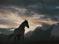 Ballad of a Runaway Horse (EmmyLou Harris)