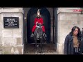 UNBELIEVABLE! STUPID TOURIST SLAPS THE KING’S HORSE! SEE WHAT HAPPENS!