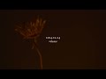 光　haruka nakamura PIANO ENSEMBLE feat.CANTUS (Official MV)