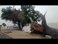 Comparando os estragos da chuva de um dia pra outro - Rio Guaíba inv4de casas