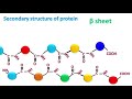 Protein structure | Primary | Secondary | Tertiary | Quaternary