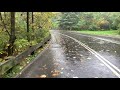 Two Hours of Rain in Central Park