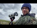 Short Eared Owls & Birds of Prey - Canon R6 Mark II Wildlife Photography