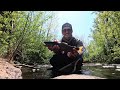 Spinner Fishing for BIG Brook Trout! - Trout Whisperer