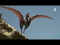 Un petit ptérosaure apprend à voler (anhanguera) - ZAPPING SAUVAGE