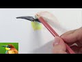 How to draw fuzzy feathers with Colored Pencils? REAL TIME