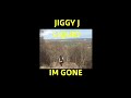 JIGGYJ - IM GONE