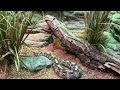 Milwaukee County Zoo Walk Tour | Spring 2023 | Milwaukee Zoo Walkthrough | Visit Wisconsin