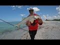 Found a Hidden Pier That Was Loaded with Fish!