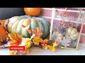 Fall Decorate with Me 2023 | Fall Front Porch | Cozy Fall Porch Decor Ideas | DIY Corn Stalks