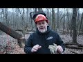 #353 DANGEROUS TREES! Severe Lean, Good info to share