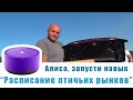 Птичий рынок. Ленинградская. [14.07.2024]