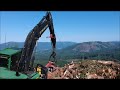 Logging In Northwest Washington State   Drone Footage